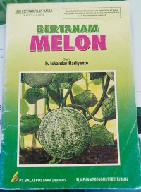 Image of BERTANAM MELON