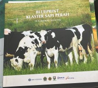 Image of Blueprint Klaster Sapi Perah Di Kabupaten Semarang