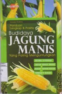 Image of Budidaya Jagung Manis Yang Paling Menguntungkan