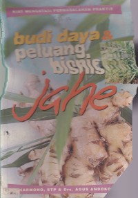 Image of Budidaya & Peluang Bisnis jahe