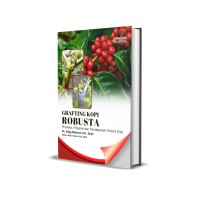 Image of GRAFTING KOPI ROBUSTA