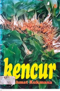 Image of KENCUR