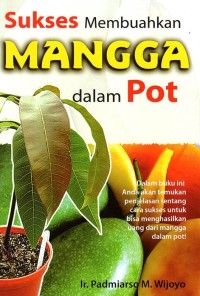 Image of Sukses Membuahkan Mangga Dalam Pot
