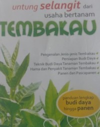 Image of Untung Selangit Dari Usaha Bertanam Tembakau