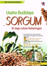 Image of USAHA Budidaya SORGUM Si Jago Lahan Kekeringan